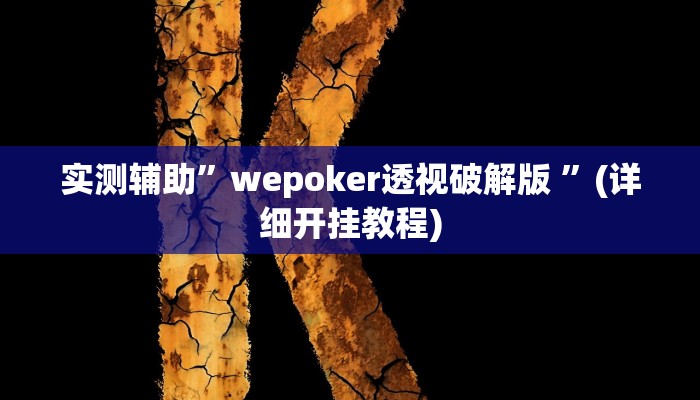 实测辅助”好玩贰柒拾辅助软件”(详细开挂教程)