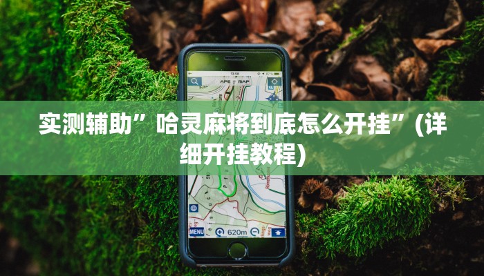 实测辅助”wepoker作弊开挂方法”(详细开挂教程)