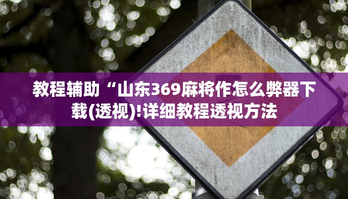 教程辅助“山东369麻将作怎么弊器下载(透视)!详细教程透视方法