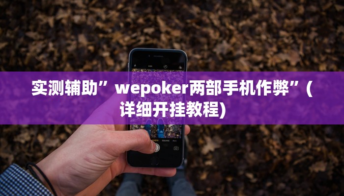 实测辅助”新蛮王大厅有透视挂”(详细开挂教程)