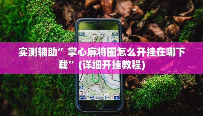 实测辅助”掌心麻将圈怎么开挂在哪下载”(详细开挂教程)