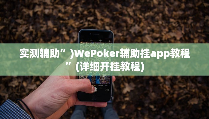实测辅助”)WePoker辅助挂app教程”(详细开挂教程)