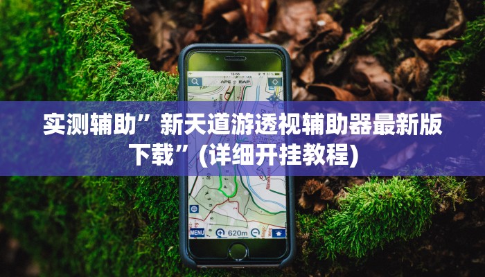 实测辅助”玄龙大厅透视辅助”(详细开挂教程)
