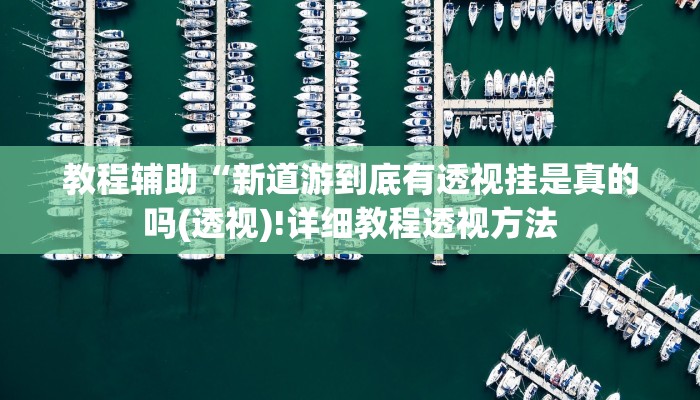 教程辅助“新道游到底有透视挂是真的吗(透视)!详细教程透视方法