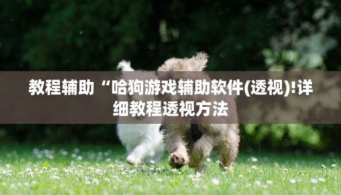 实测辅助”拼十局牛牛辅助怎么开挂”(详细开挂教程)