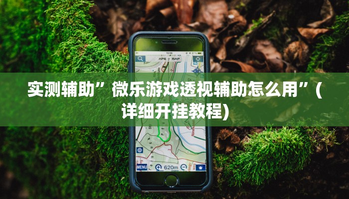 实测辅助”微乐游戏透视辅助怎么用”(详细开挂教程)