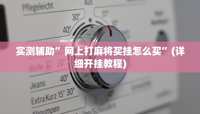 实测辅助”网上打麻将买挂怎么买”(详细开挂教程)