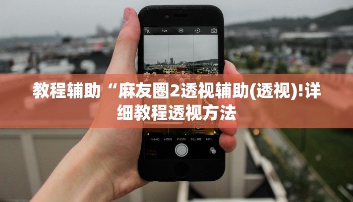教程辅助“麻友圈2透视辅助(透视)!详细教程透视方法