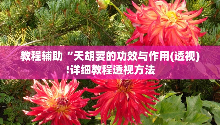 实测辅助”hhpoker辅助作弊”(详细开挂教程)