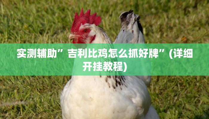 实测辅助”吉祥棋牌斗地主填大坑透视”其实确实有挂
