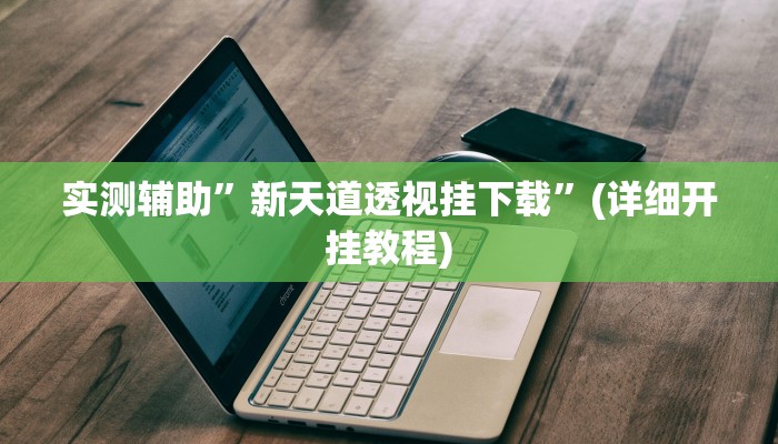 实测辅助”新天道透视挂下载”(详细开挂教程)