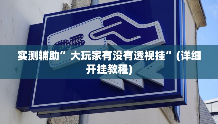 实测辅助”大玩家有没有透视挂”(详细开挂教程)