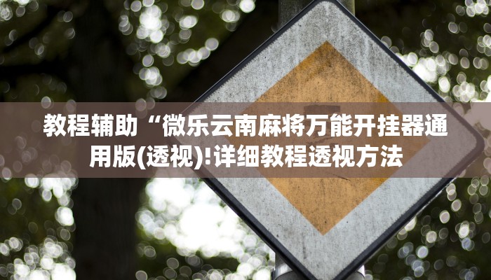 教程辅助“微乐云南麻将万能开挂器通用版(透视)!详细教程透视方法