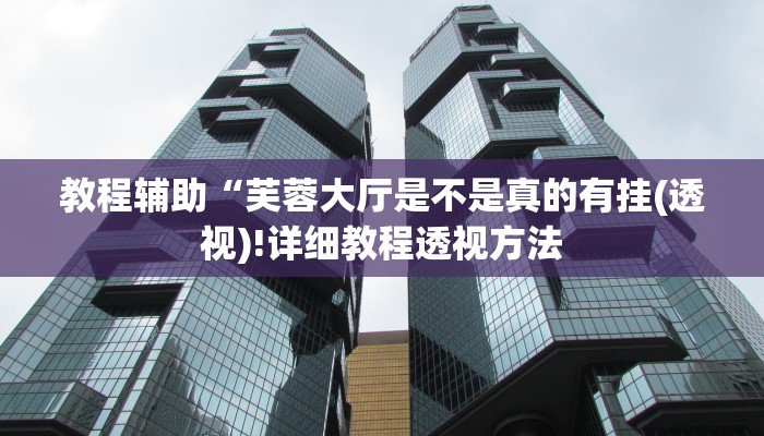 教程辅助“芙蓉大厅是不是真的有挂(透视)!详细教程透视方法