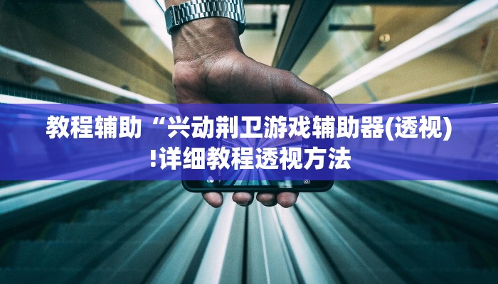 教程辅助“兴动荆卫游戏辅助器(透视)!详细教程透视方法