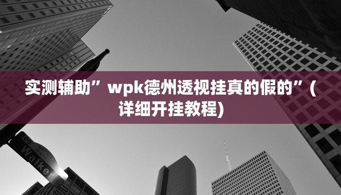 实测辅助”wpk德州透视挂真的假的”(详细开挂教程)