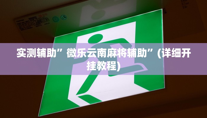 实测辅助”wepokerplus德州辅助作弊挂”(详细开挂教程)