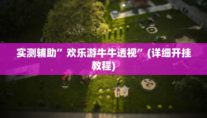 实测辅助”欢乐游牛牛透视”(详细开挂教程)