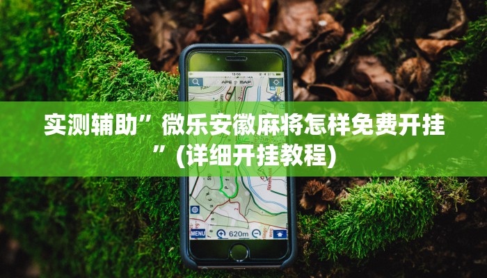 实测辅助”微乐安徽麻将怎样免费开挂”(详细开挂教程)