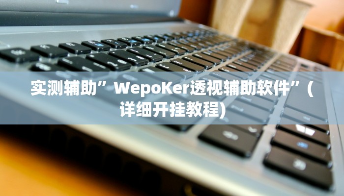 实测辅助”WepoKer透视辅助软件”(详细开挂教程)