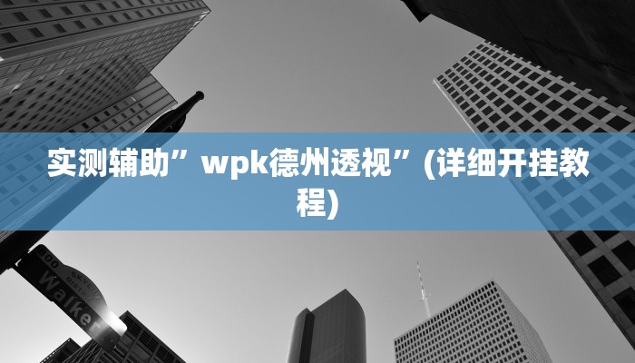 实测辅助”wpk德州透视”(详细开挂教程)