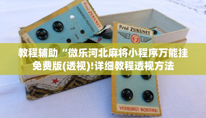 教程辅助“微乐河北麻将小程序万能挂免费版(透视)!详细教程透视方法