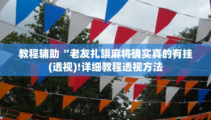 教程辅助“老友扎旗麻将确实真的有挂(透视)!详细教程透视方法
