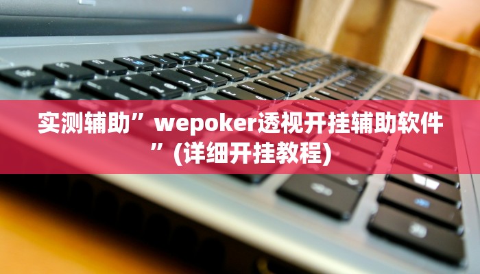 实测辅助”wepoker透视开挂辅助软件”(详细开挂教程)