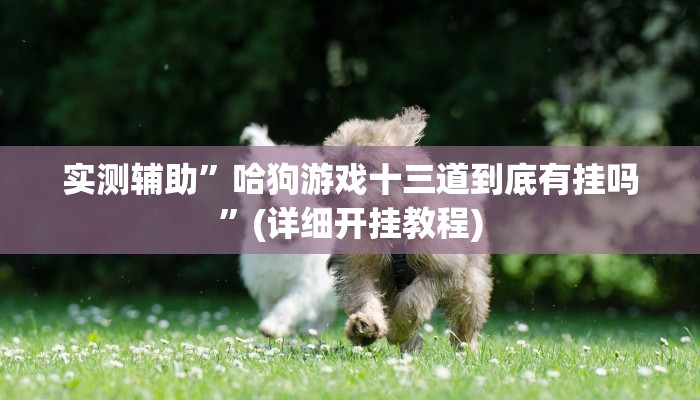 实测辅助”哈狗游戏十三道到底有挂吗”(详细开挂教程)