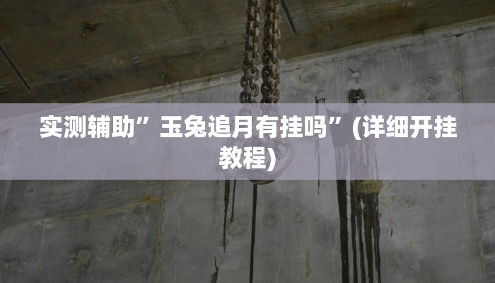 实测辅助”玉兔追月有挂吗”(详细开挂教程)
