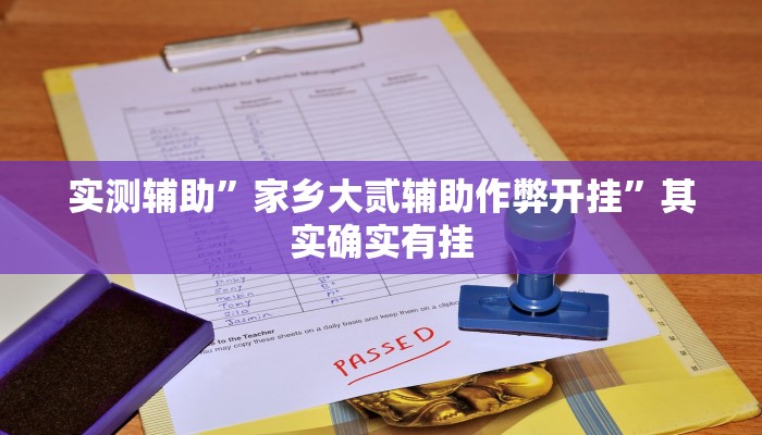 实测辅助”家乡大贰辅助作弊开挂”其实确实有挂