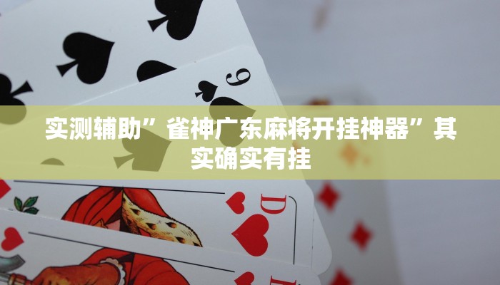 实测辅助”雀神广东麻将开挂神器”其实确实有挂