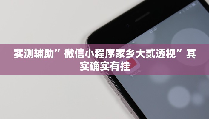 实测辅助”微信小程序家乡大贰透视”其实确实有挂