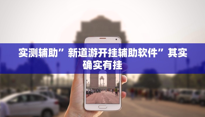实测辅助”新道游开挂辅助软件”其实确实有挂