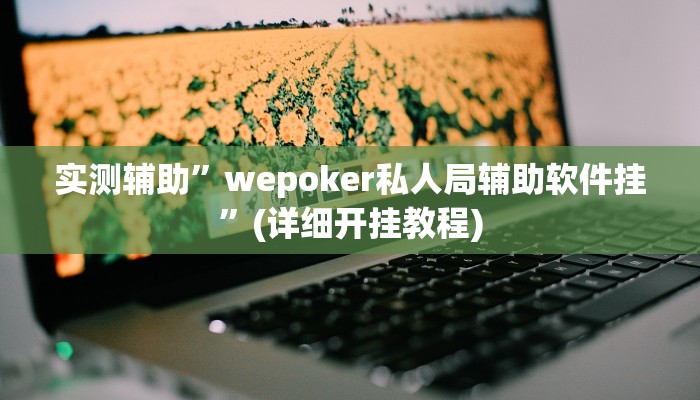 实测辅助”wepoker私人局辅助软件挂”(详细开挂教程)