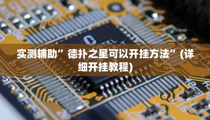 开挂辅助工具“博乐填大坑免费透视软件下载”详细开挂教程