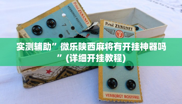 实测辅助”微乐陕西麻将有开挂神器吗”(详细开挂教程)