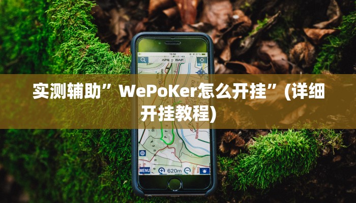 实测辅助”WePoKer怎么开挂”(详细开挂教程)