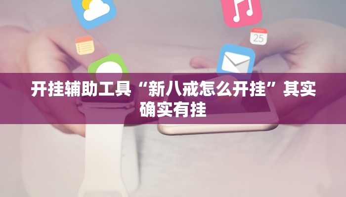 开挂辅助工具“新八戒怎么开挂”其实确实有挂