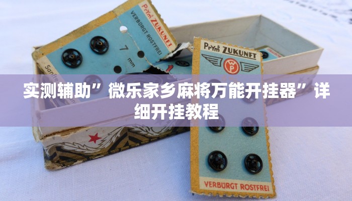 实测辅助”哥哥跑得快可以开挂吗”(详细开挂教程)