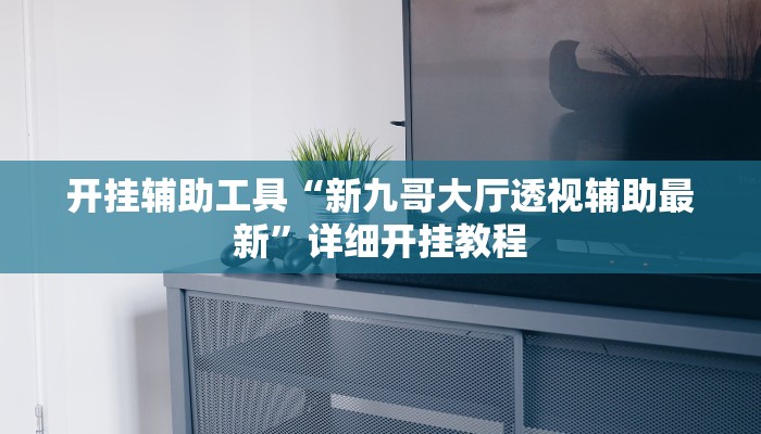 开挂辅助工具“新九哥大厅透视辅助最新”详细开挂教程