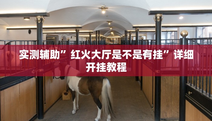 实测辅助”新皇豪大厅拼十通用挂”(详细开挂教程)