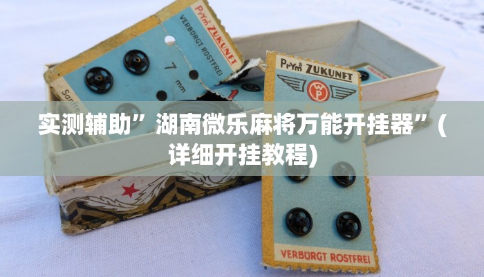 实测辅助”湖南微乐麻将万能开挂器”(详细开挂教程)