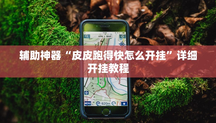 辅助神器“皮皮跑得快怎么开挂”详细开挂教程