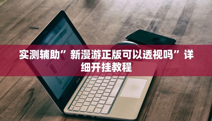 实测辅助”新漫游正版可以透视吗”详细开挂教程