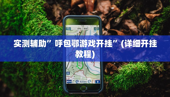 实测辅助”呼包鄂游戏开挂”(详细开挂教程)
