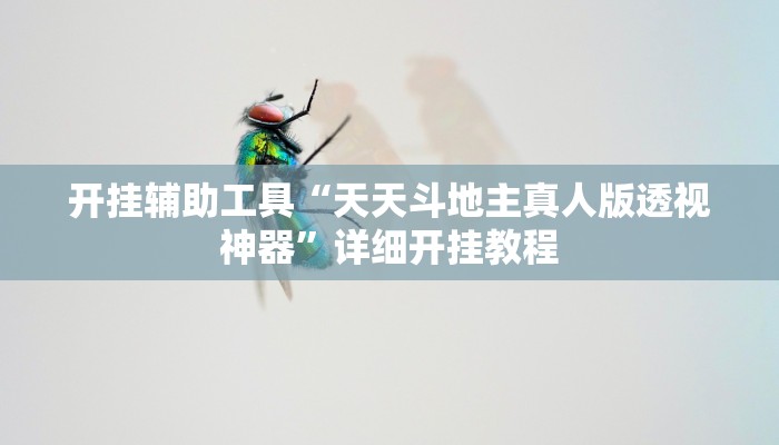 开挂辅助工具“天天斗地主真人版透视神器”详细开挂教程