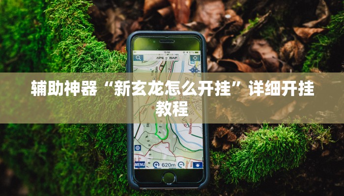 辅助神器“新玄龙怎么开挂”详细开挂教程
