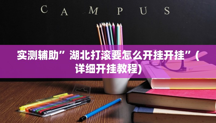 实测辅助”湖北打滚要怎么开挂开挂”(详细开挂教程)
