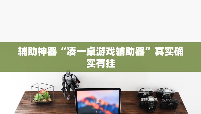 辅助神器“凑一桌游戏辅助器”其实确实有挂